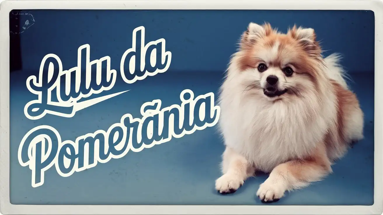 Guia Completo do Lulu da Pomerânia: Características, Cuidados e Dicas Essenciais